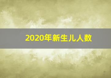 2020年新生儿人数