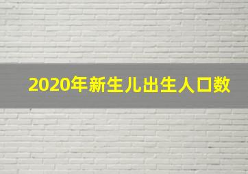 2020年新生儿出生人口数