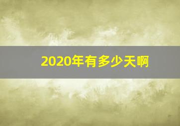 2020年有多少天啊