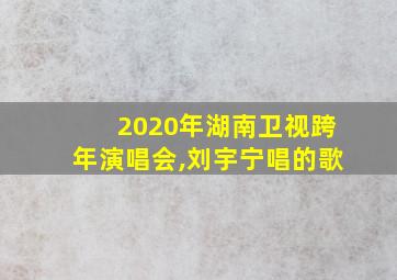 2020年湖南卫视跨年演唱会,刘宇宁唱的歌