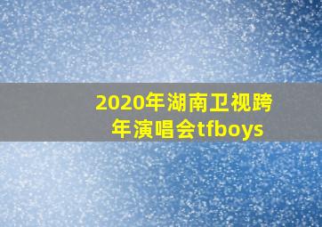 2020年湖南卫视跨年演唱会tfboys