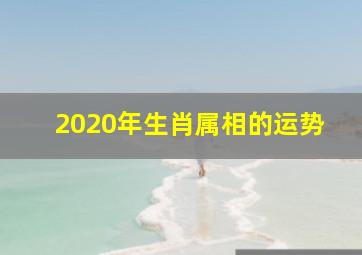 2020年生肖属相的运势