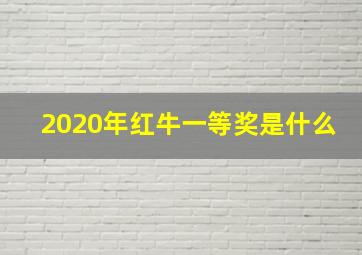 2020年红牛一等奖是什么