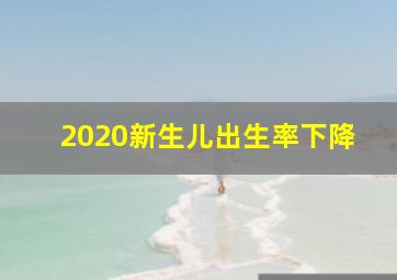 2020新生儿出生率下降