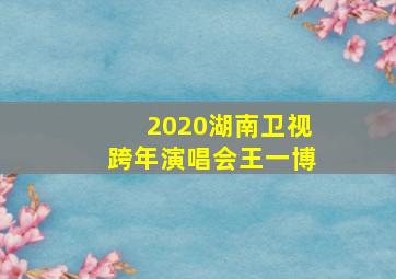 2020湖南卫视跨年演唱会王一博