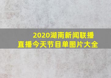 2020湖南新闻联播直播今天节目单图片大全