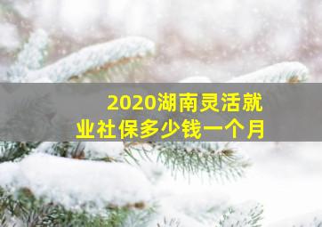 2020湖南灵活就业社保多少钱一个月