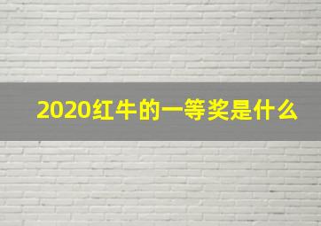 2020红牛的一等奖是什么