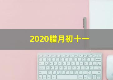 2020腊月初十一