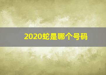 2020蛇是哪个号码