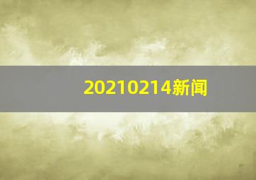 20210214新闻