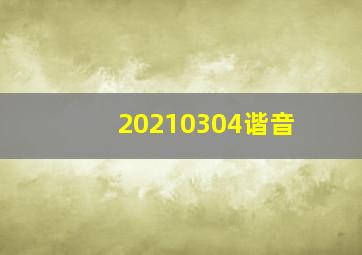 20210304谐音