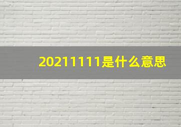 20211111是什么意思