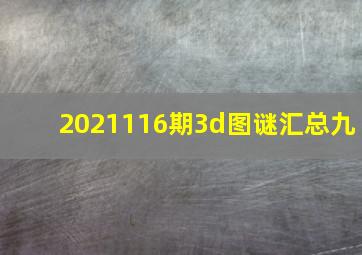 2021116期3d图谜汇总九