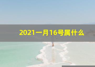 2021一月16号属什么