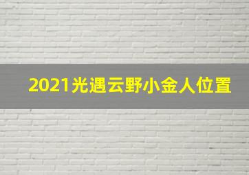 2021光遇云野小金人位置