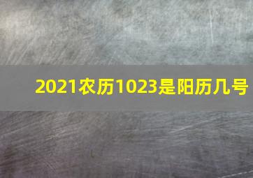 2021农历1023是阳历几号