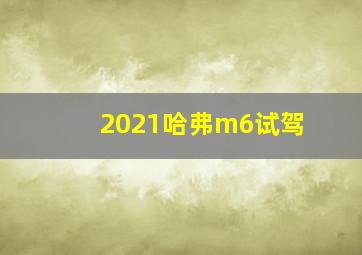 2021哈弗m6试驾