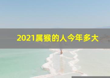 2021属猴的人今年多大