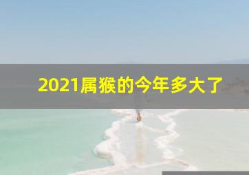 2021属猴的今年多大了