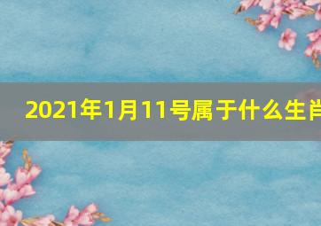 2021年1月11号属于什么生肖