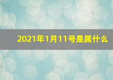 2021年1月11号是属什么