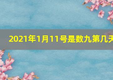 2021年1月11号是数九第几天