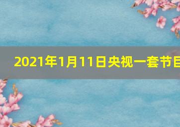 2021年1月11日央视一套节目