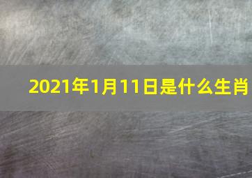 2021年1月11日是什么生肖