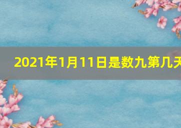 2021年1月11日是数九第几天