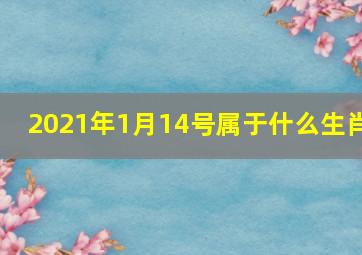 2021年1月14号属于什么生肖