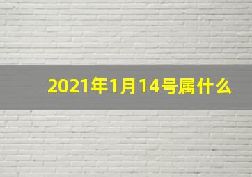 2021年1月14号属什么