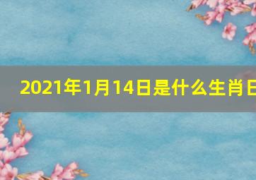 2021年1月14日是什么生肖日