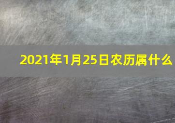 2021年1月25日农历属什么