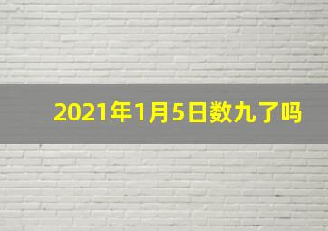 2021年1月5日数九了吗