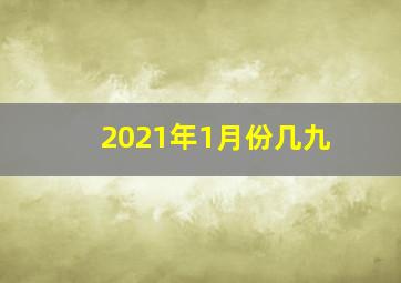 2021年1月份几九