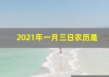 2021年一月三日农历是