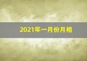 2021年一月份月相