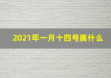 2021年一月十四号属什么