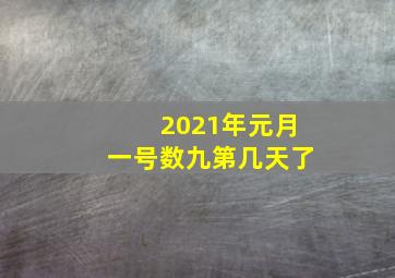 2021年元月一号数九第几天了