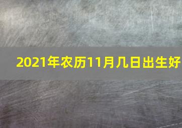 2021年农历11月几日出生好