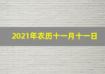 2021年农历十一月十一日