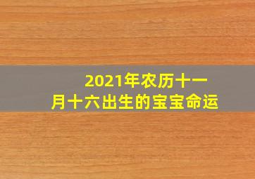 2021年农历十一月十六出生的宝宝命运