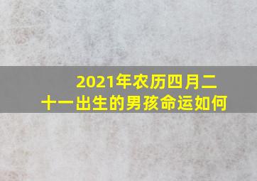 2021年农历四月二十一出生的男孩命运如何