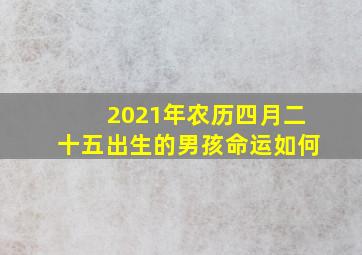 2021年农历四月二十五出生的男孩命运如何