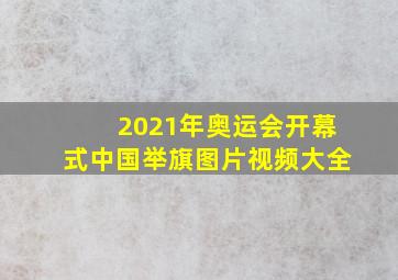 2021年奥运会开幕式中国举旗图片视频大全