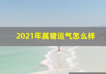 2021年属猪运气怎么样