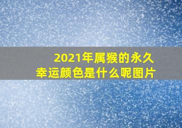 2021年属猴的永久幸运颜色是什么呢图片