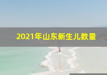 2021年山东新生儿数量