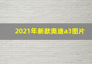 2021年新款奥迪a3图片